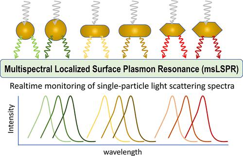 Multispectral Localized Surface Plasmon Resonance MsLSPR Reveals And