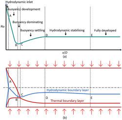 Simultaneous Development Of The Hydrodynamic And Thermal Boundary