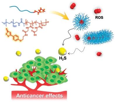 活性氧触发的硫化氢释放和含茴香二硫硫酮的聚合物胶束的癌症选择性抗增殖作用 Advanced Healthcare Materials X MOL
