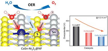 Hierarchically Porous Ni Foam Supported Co And Sn Doped Ni S