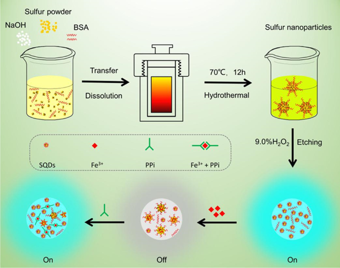 Protein Directed Synthesis Of Fluorescent Sulfur Quantum Dots For