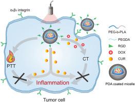 双载药杂化纳米颗粒用于联合肿瘤鸡尾酒化学 光热疗法和抗炎 Journal of Drug Delivery Science and