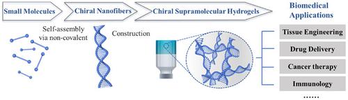 用于组织工程的手性纤维超分子水凝胶 WIREs Nanomedicine and Nanobiotechnology X MOL