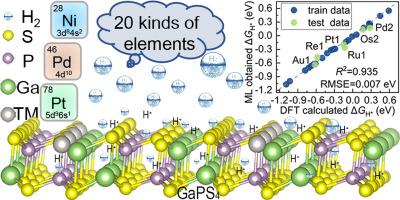 Understanding The Hydrogen Evolution Reaction Activity Of Doped Single