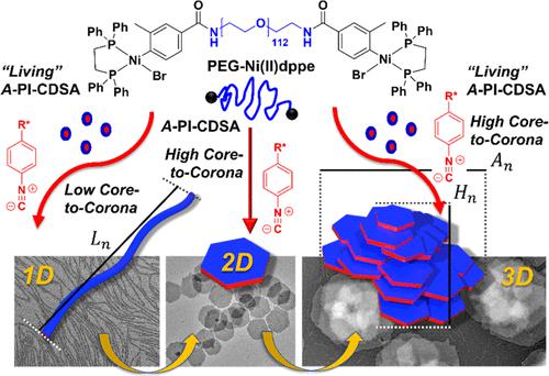 Asymmetric Polymerization Induced Crystallization Driven Self Assembly