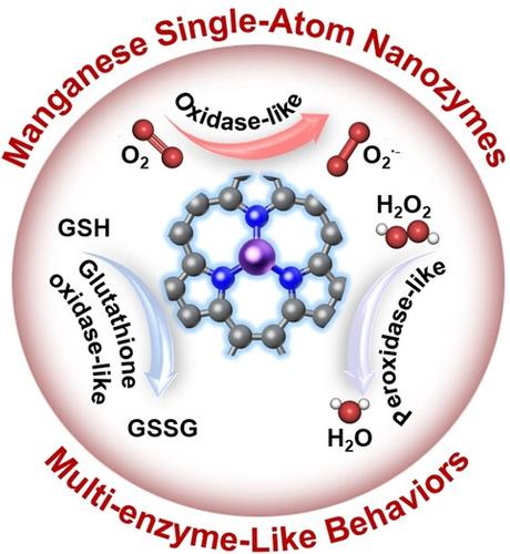 Tuning Local Coordination Environments Of Manganese Single Atom