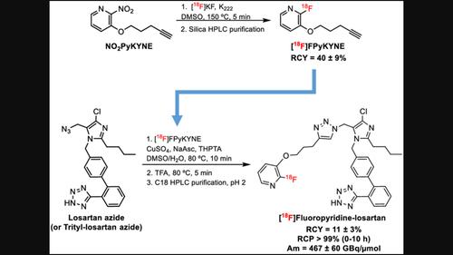 F Fluoropyridine Losartan A New Approach Toward Human Positron