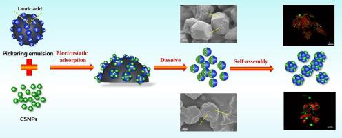 Starch Based Janus Particle Fabrication Characterization And