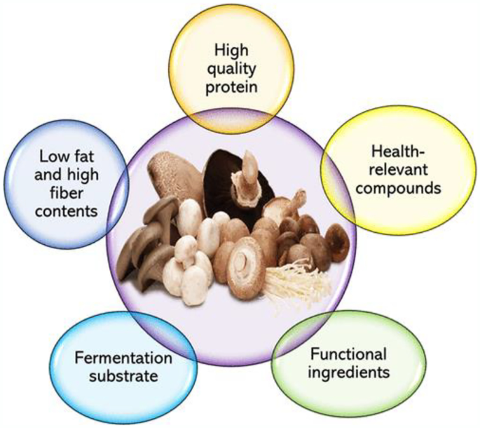 Current Nutrition Reports X Mol