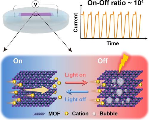 Highly Efficient Ion Gating Through Self Assembled Two Dimensional