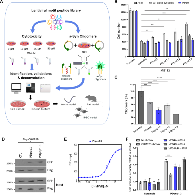 Disrupting The Synuclein Escrt Interaction With A Peptide Inhibitor