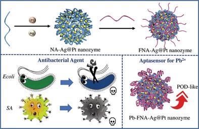 Coordination Driven One Step Rapid Self Assembly Synthesis Of Dual