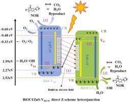 Biocl Zns Z Journal Of Environmental Chemical