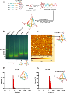 Self Assembled Nanoparticles Based On DNA Origami And A Nitrated T