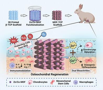 Metal Organic Framework Functionalized Bioceramic Scaffolds With