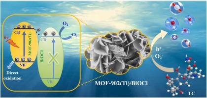 A Flower Like Metal Organic Frameworks Fabricated Biocl Heterojunction