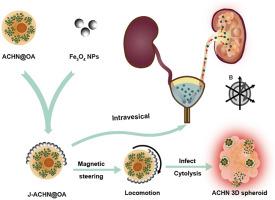 Oncolytic Adenovirus Loaded Magnetic Driven Janus Tumor Cell Robots For