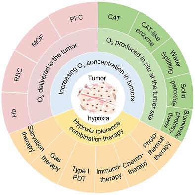 Strategic Design Of Conquering Hypoxia In Tumor For Advanced