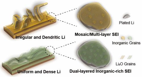 Revealing The Dual Layered Solid Electrolyte Interphase On Lithium