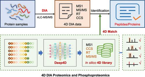 High Coverage Four Dimensional Data Independent Acquisition Proteomics