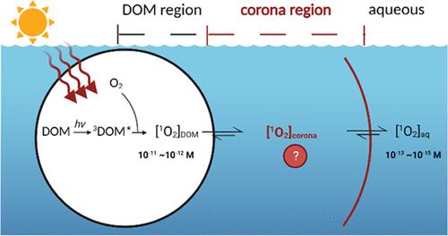 Evaluating The Microheterogeneous Distribution Of Photochemically