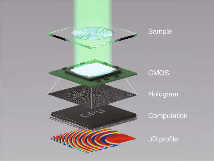 Compressive Holographic Sensing Simplifies Quantitative Phase Imaging