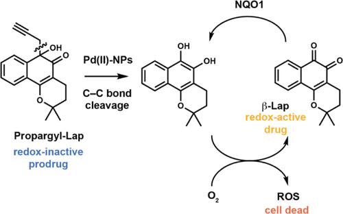 Expanding Transition Metal Mediated Bioorthogonal Decaging To Include C