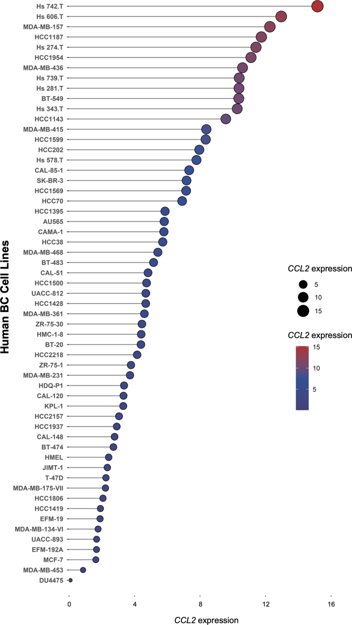 The Chemokine Monocyte Chemoattractant Protein Ccl Is A Promoter Of