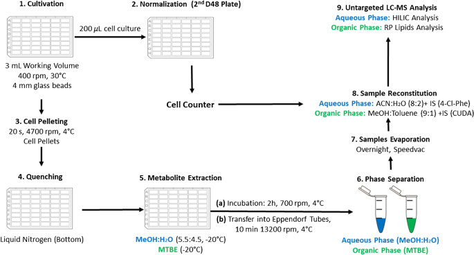 基于认证的非靶向代谢组学的高通量酿酒酵母培养方法 Analytical and Bioanalytical Chemistry X MOL