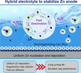 Tuning The Zn Solvation Structure In Dual Salts Hybrid Aqueous