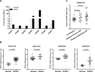 P X B Purinergic Signalling X Mol