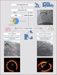 Intracoronary Imaging In Addition To Coronary Angiography For Patients