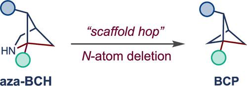 Skeletal Editing Approach To Bridge Functionalized Bicyclo 1 1 1