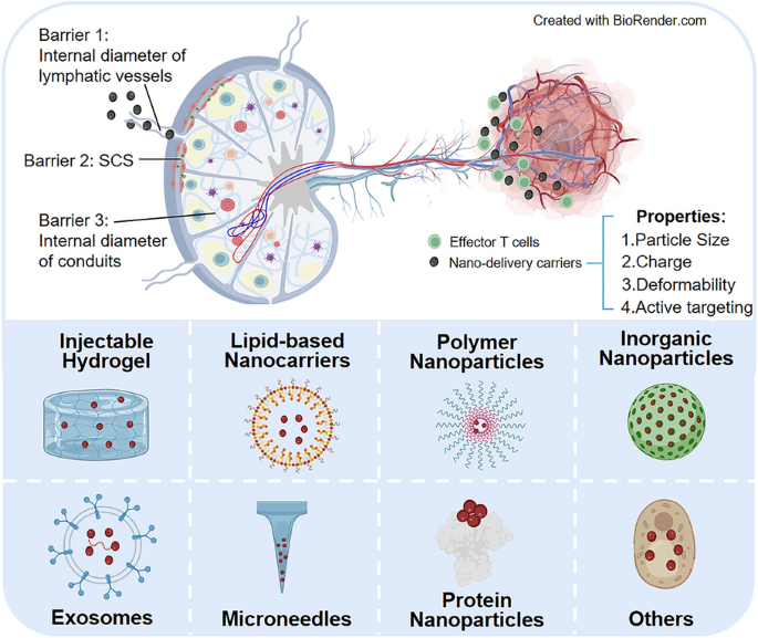 Application Of Nano Delivery Systems In Lymph Nodes For Tumor