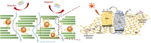 Self Assembly Graphene Oxide Membrane Embedded With CPU PAA TiO2 For