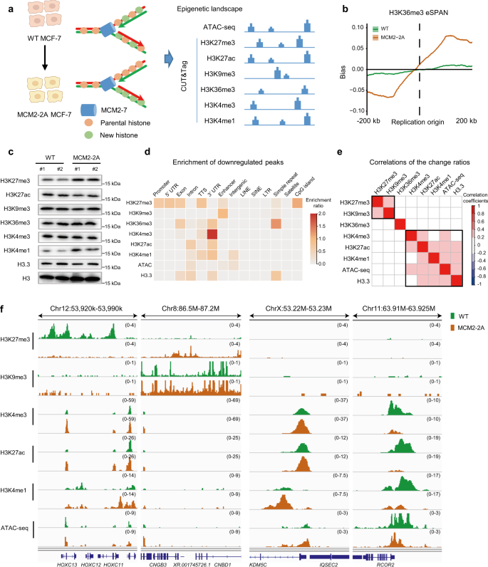 Impaired Histone Inheritance Promotes Tumor Progression Nature