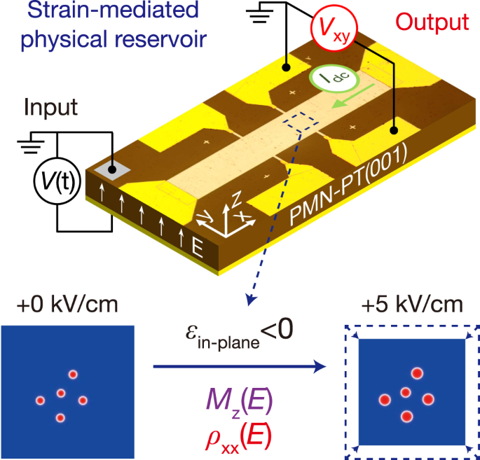 Experimental Demonstration Of A Skyrmion Enhanced Strain Mediated