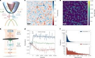 Local Symmetry Breaking Drives Picosecond Spin Domain Formation In