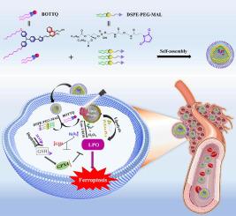 Nir Aiegens Nanospheres Featuring High Fidelity Dynamic Lipid Droplet