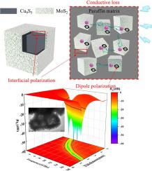 Self Templated Growth Of Heterogeneous Hollow Cu2 XS 1T MoS2 Microcubes