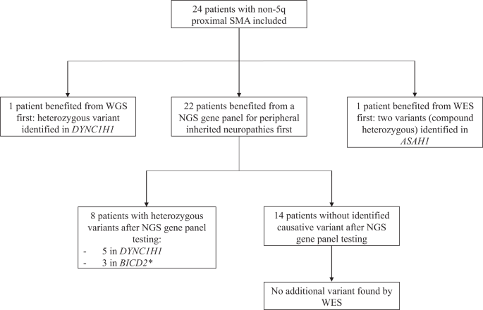 Genetic Characterization Of Non Q Proximal Spinal Muscular Atrophy In