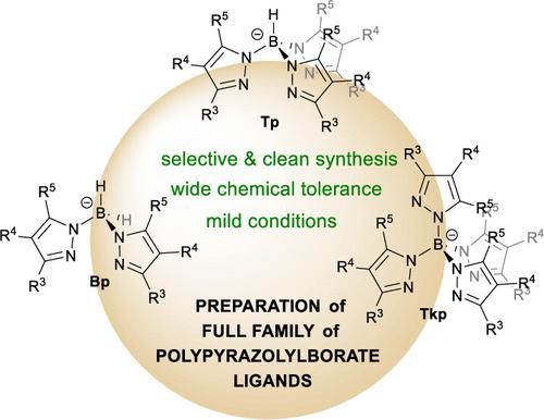 Synthesis Of Known And Previously Inaccessible Poly Pyrazolyl Borates