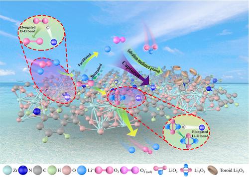 Identifying The Role Of Lewis Base Sites For The Chemistry In Lithium