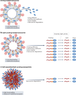 Self Assembled Lipidprodrug Nanoparticles Nature Reviews