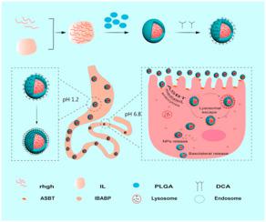 Rhgh Journal Of Drug Delivery Science And Technology X Mol