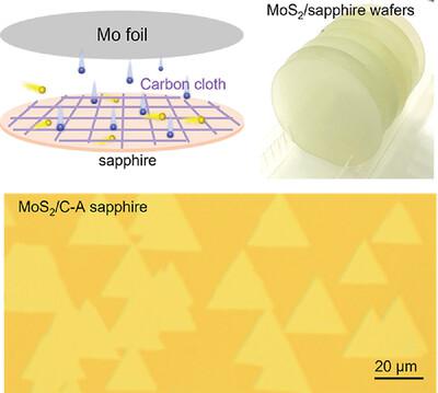 蓝宝石上晶圆级单晶单层 MoS2 的高再现性外延生长 Small Methods X MOL