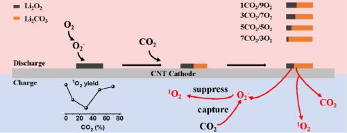 Unveiling The Reaction Mechanism And 1O2 Suppression Effect Of CO2 In