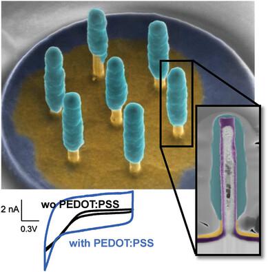 Combining PEDOT PSS Polymer Coating With Metallic 3D Nanowires