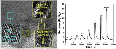 具有累积层的 SnSe2 Ag2Se 异质结构可快速灵敏地检测 NO2 New Journal of Chemistry X MOL