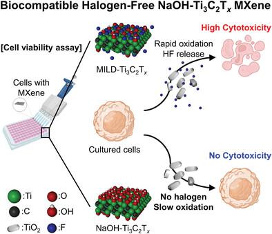 Biocompatible And Oxidation Resistant Ti C Tx Mxene With Halogen Free